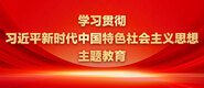 插骚逼综合网学习贯彻习近平新时代中国特色社会主义思想主题教育_fororder_ad-371X160(2)